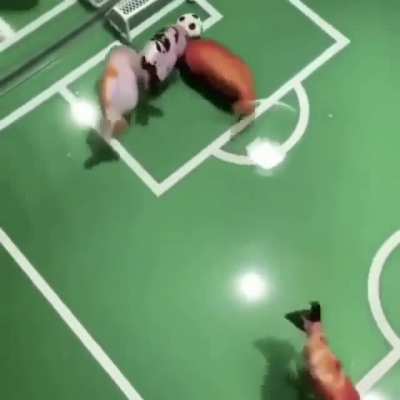 GOALLLLLLLL!!!