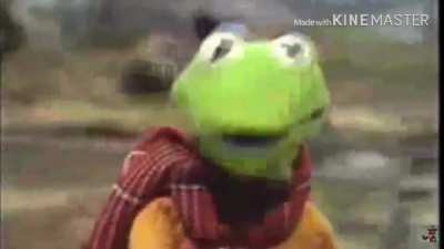 Kermit the frog dies in a tragic bike accident