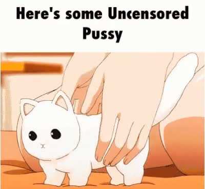 Absolutely Uncensored