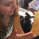 A box full of surprises!