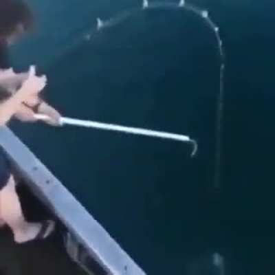 how to fish