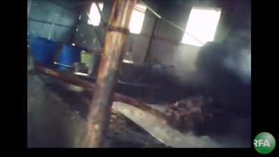China's gutter oil