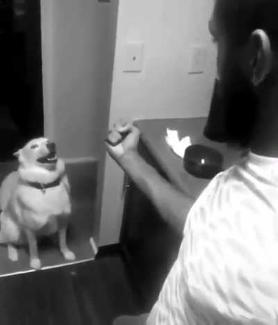 He dares