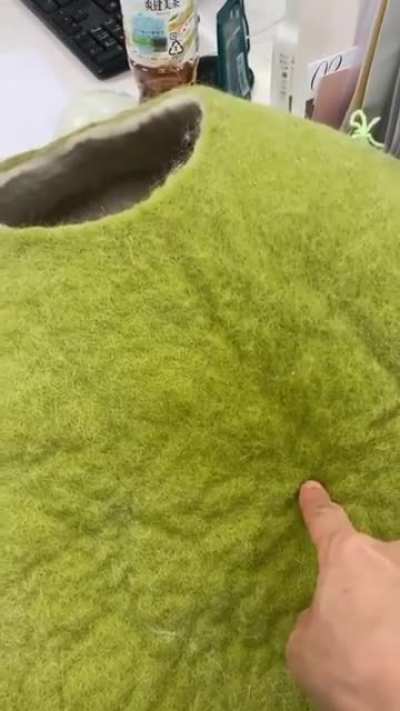 Boop to appear