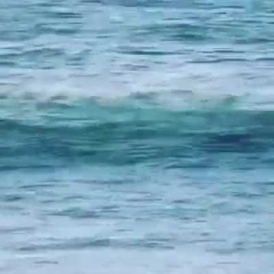 Get out of our wave
