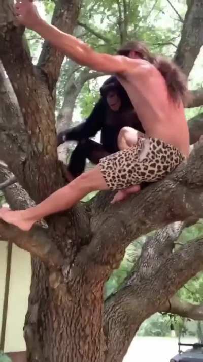Come human return to MONKE