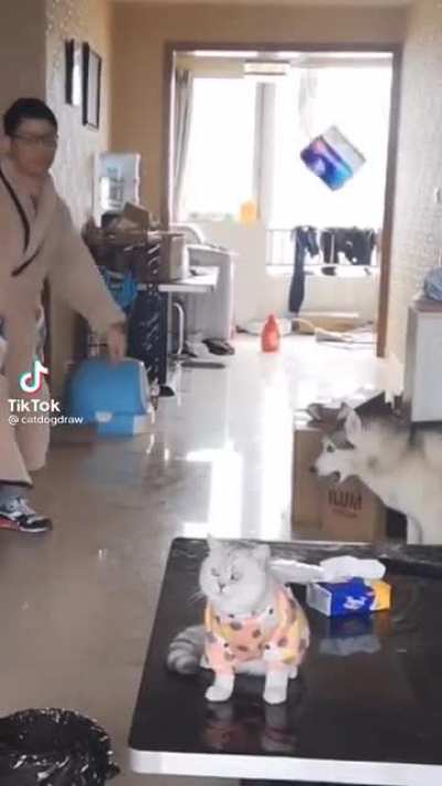 His face at the end