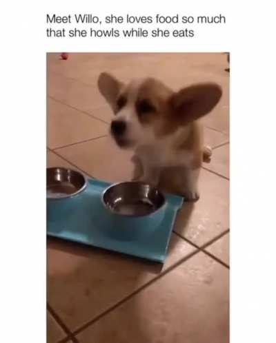 woof irl