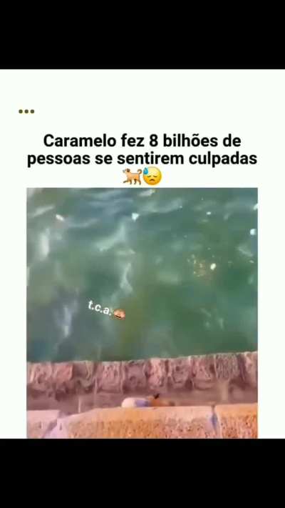 What a f..k?