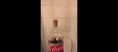 Parece alguem quando come feijoada