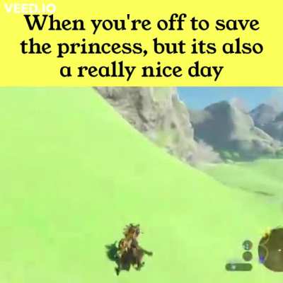 Psyching myself up for Flower Blight Ganon