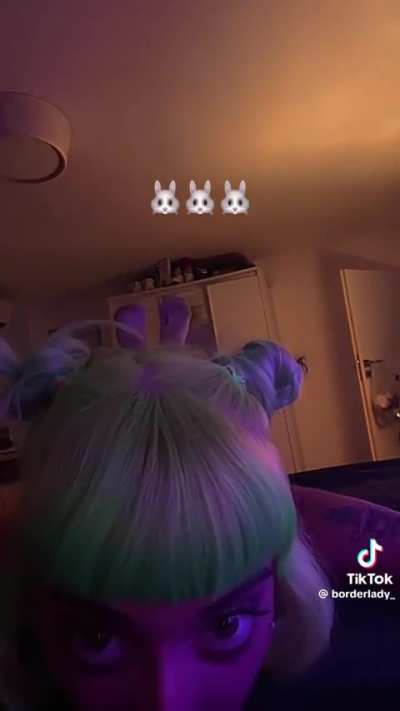 susycara