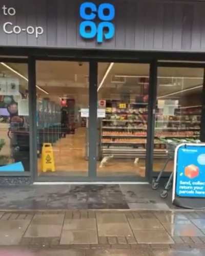 There are two types of people: People who help a seagull shoplift and people who try to stop the crime