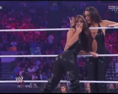 Bella Twins.
