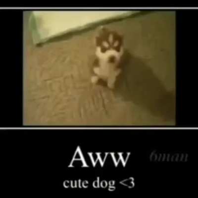 Awww >:(