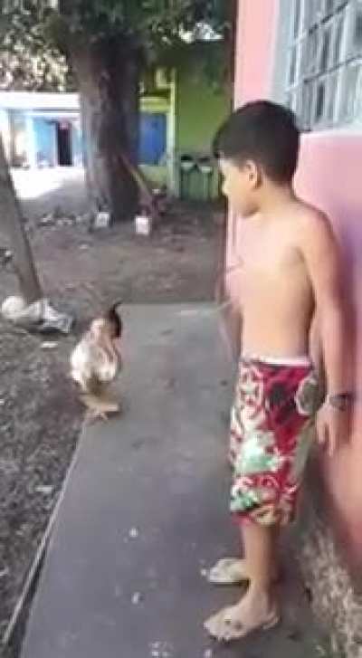 venha