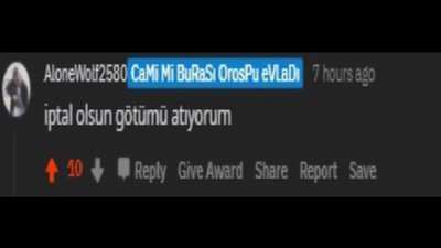 Sözünün eri AloneWolf2580