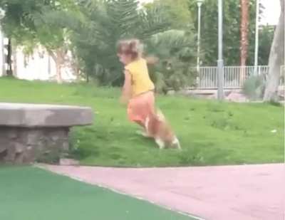 Don’t fuck with cats
