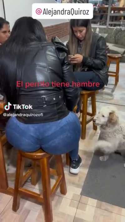 Se ve bien hambr<wbr>iento<wbr>..🐶🌭🐶