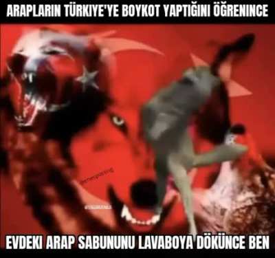 bi ara boykot ediyorlardı noldu en son