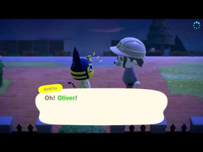 Ankha_irl