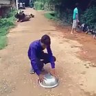 You need to be quick to catch the bird inside!