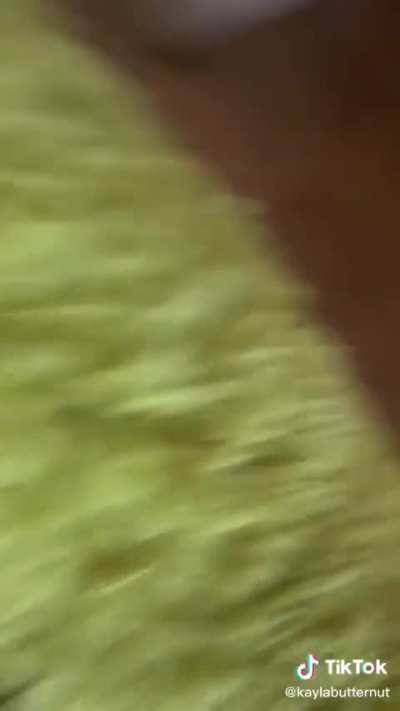 @kayl<wbr>abutt<wbr>ernut