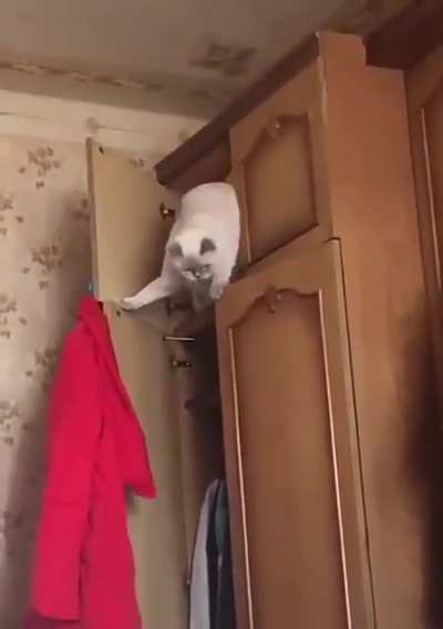 Mistakes were made.