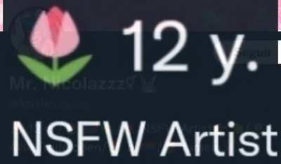 Ayo what ? ‘Nsfw artist’ and ‘12 y.’?!