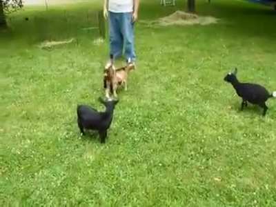 There's always one.