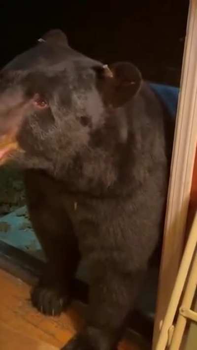 Good boiiii