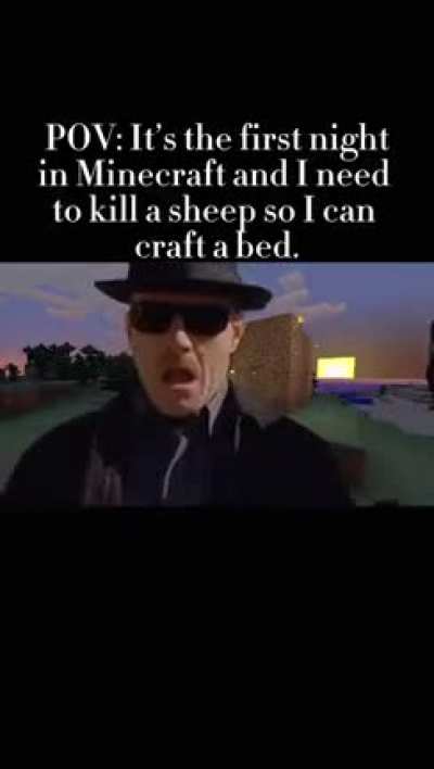 we all did it