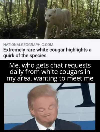 They're not that rare