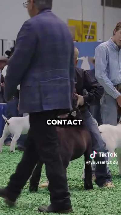 tepo