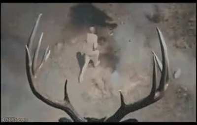 r/deersarentreal