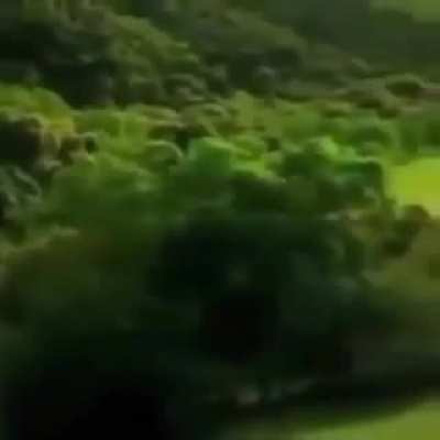 this car following a road