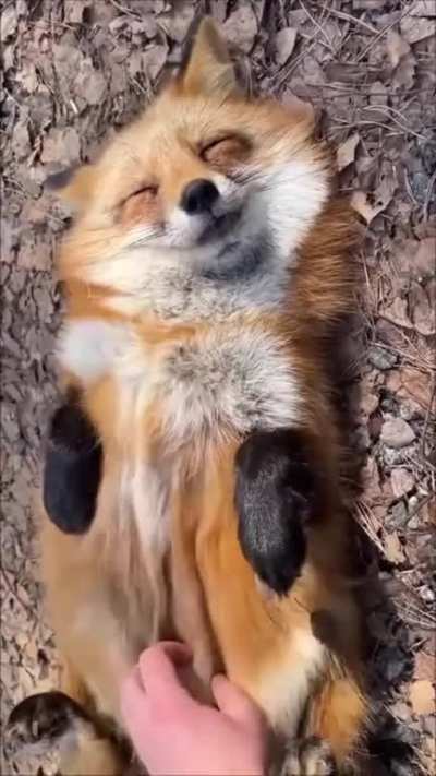 Aww yiss