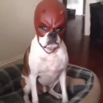 And thus a new supervillain was born