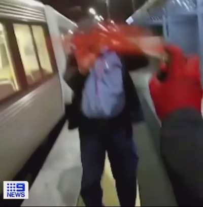Graffiti vandal spray paints security guard in the face when confronted.