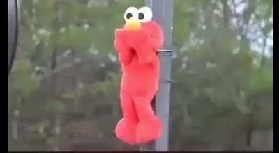 Elmo
