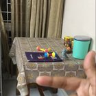 Teaching small parrot new trick