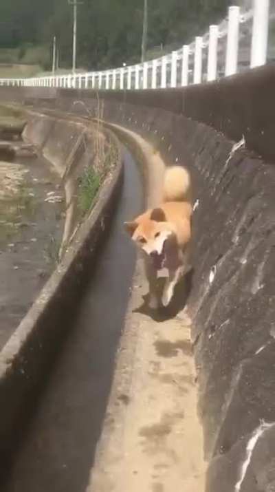 January to now in Doge vision... Wow!