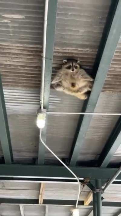he's a spy on a mission