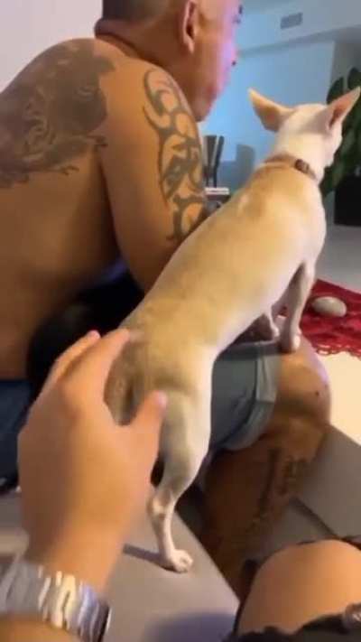 Squishy Squishy Squishy