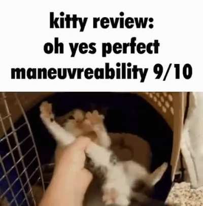 rule (9/10)