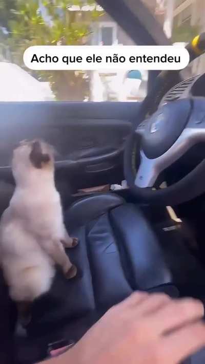 PeepoCat