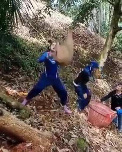 Fruit picking