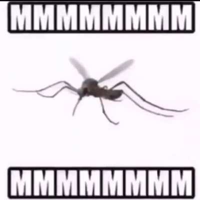 MMMMMMMM