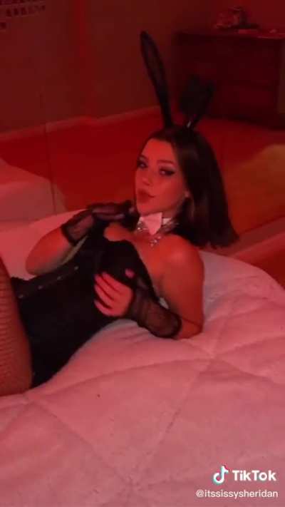 🐰