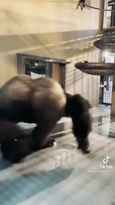 He's a maniac!